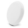frisbee-frantzy-3