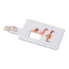 pendrive-4gb-mo1059-06-1