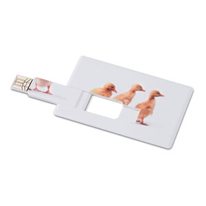 pendrive-4gb-mo1059-06-22185