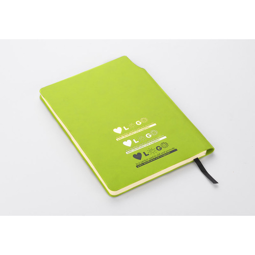 notes-moli-a5