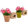 doniczka-do-kwiatow-5-8-nasion-petunii-i-ziemia-4