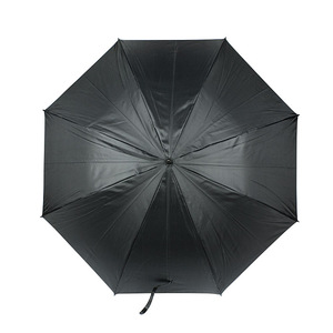 parasol-sunny-5051