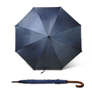 parasol-stick-5032