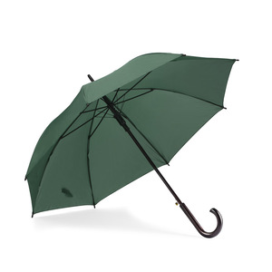 parasol-stick-5031