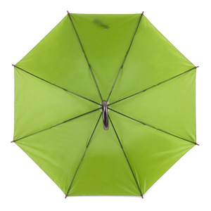 parasol-stick-5038