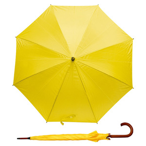 parasol-stick-5037
