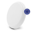 frisbee-frantzy-2